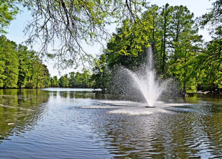 Swan Lake Iris Gardens, United States